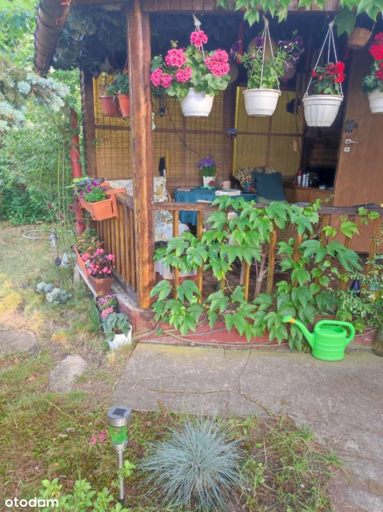 Działka budowlana z domkiem rekreacyjnym - Pełny obrazek: 3/12