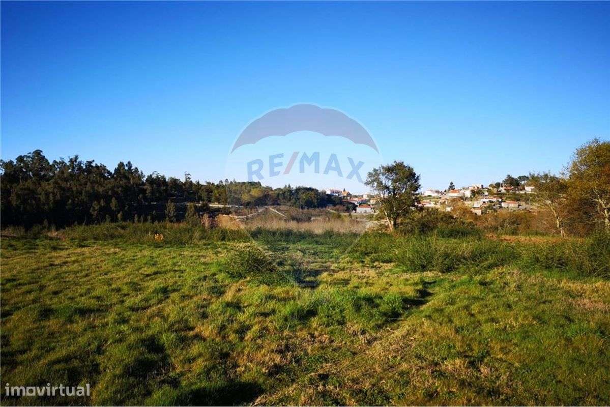 Terreno  para venda - Grande imagem: 5/6