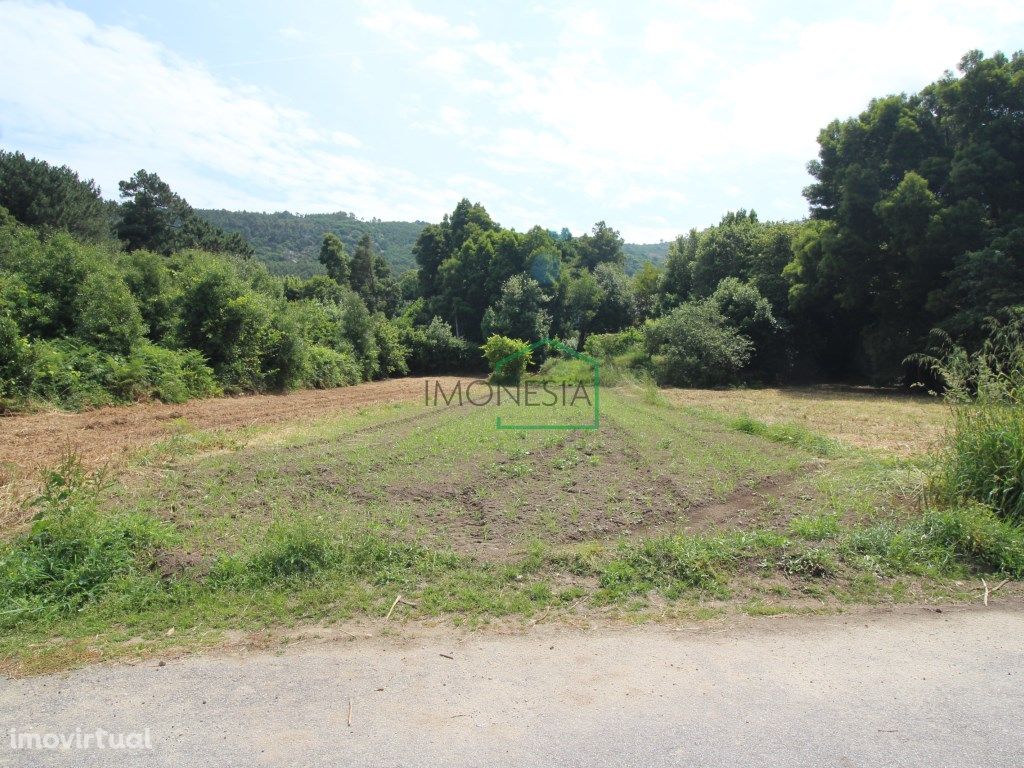 Terreno Venda Caminha