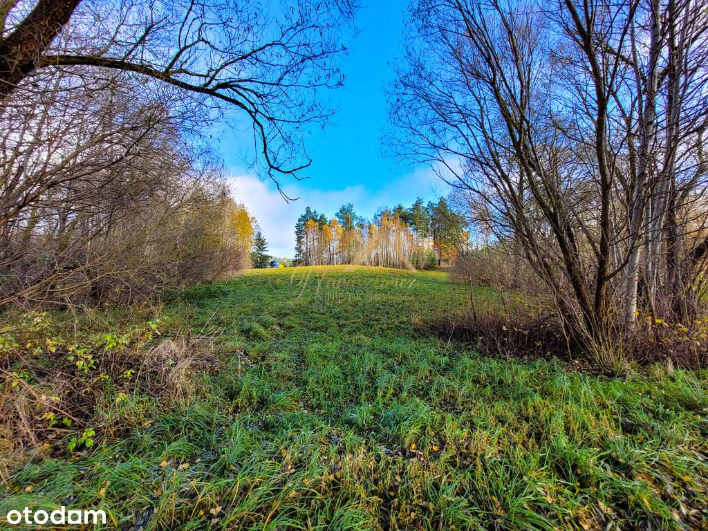 2.95 ha ze świetnym dojazdem - Słobódka-8