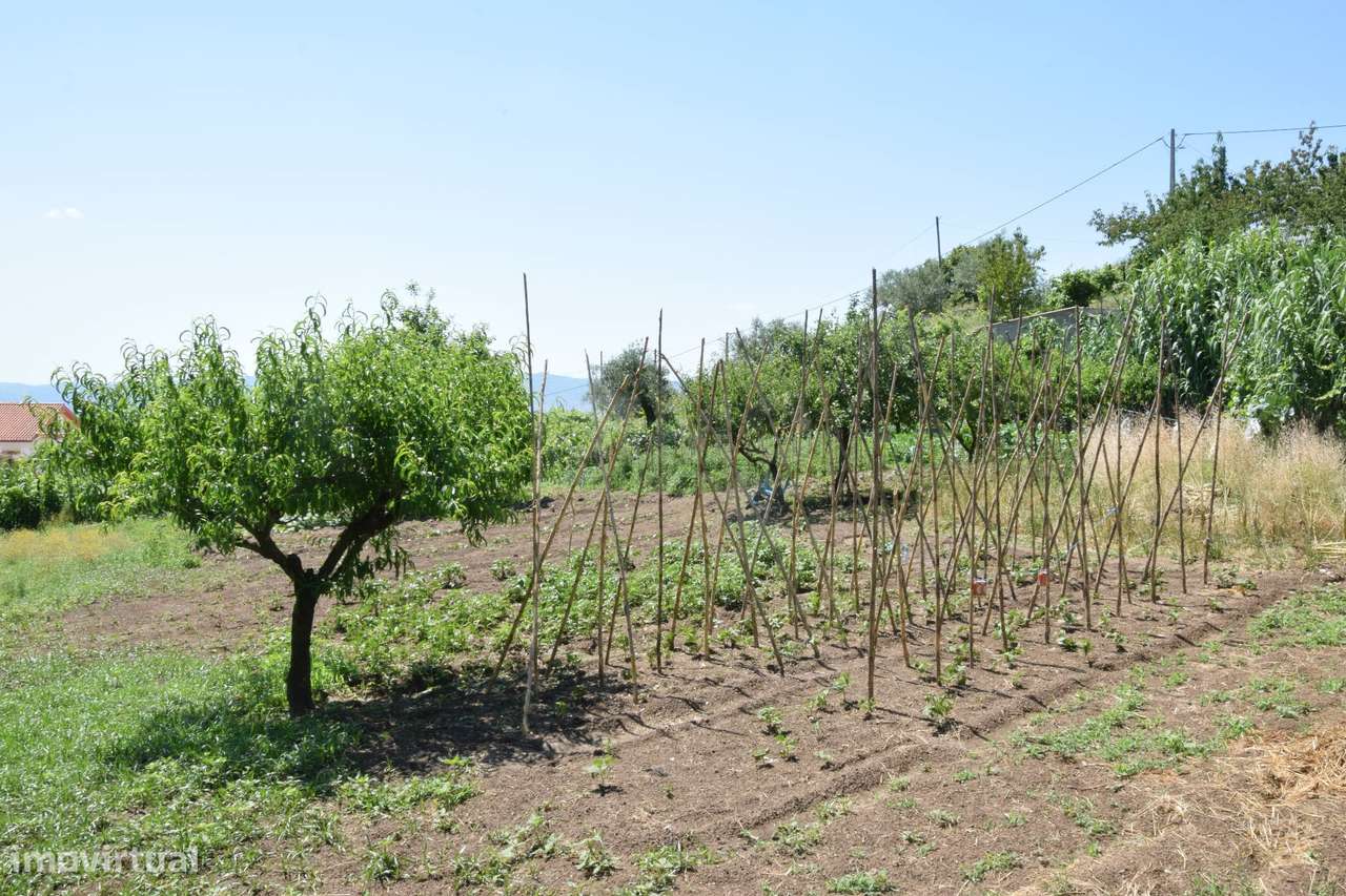 Terreno com 4.522 m² e Viabilidade de Construção - Vila do Carvalho-30