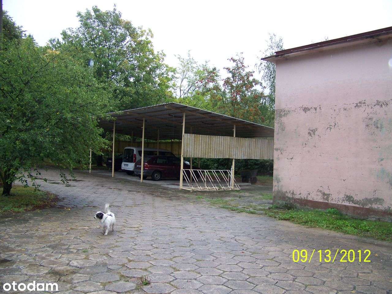 Zygry- grunt z budynkami-6