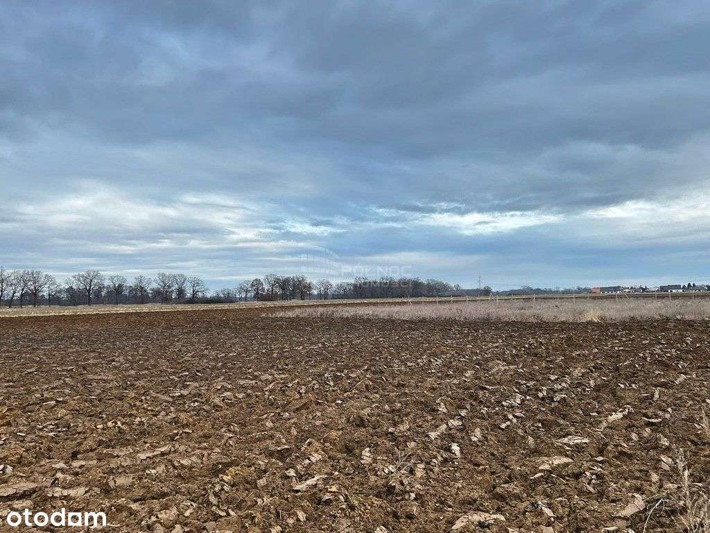 Więcej niż standard! 2 działki po ponad 20a - Pełny obrazek: 4/8