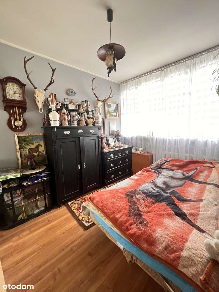 Przytulne 3 pokoje w samym sercu Świdnicy - Pełny obrazek: 2/7