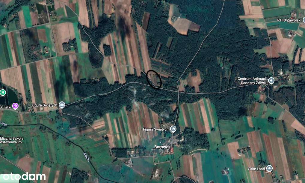 Bezpośrednio. Duża działka z Warunkami Zabudowy.-3