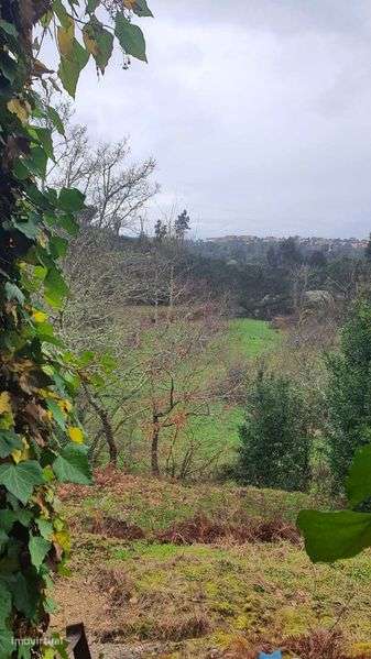 Propriedade com 4ha com Casas, Água, Vista e Muito Acolhedora - Grande imagem: 4/12