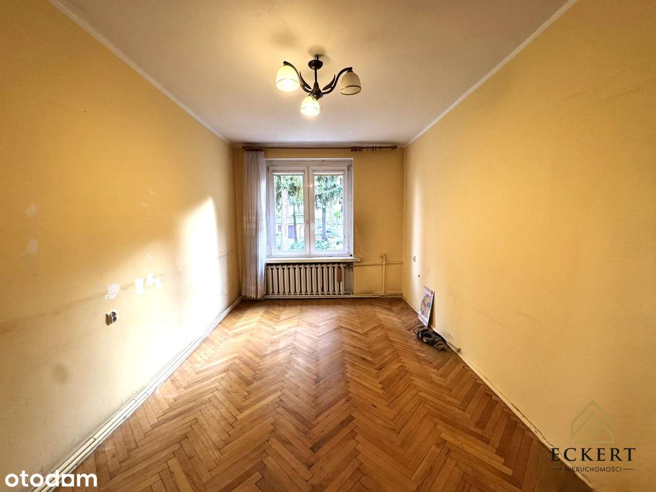 3-pokojowe mieszkanie w centrum + garaż | parter | - Pełny obrazek: 4/9