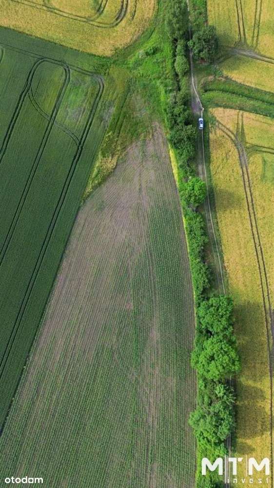 Działka, 9 878 m², Iwiny - Pełny obrazek: 3/11