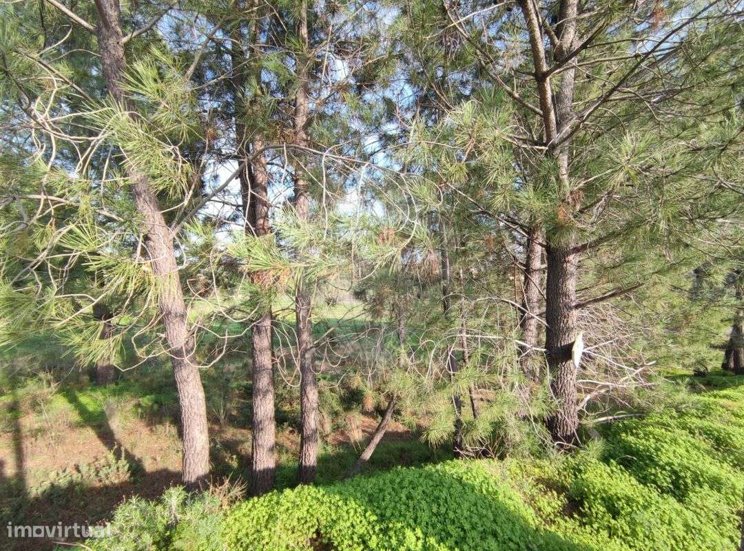 Terreno  para venda - Grande imagem: 4/13