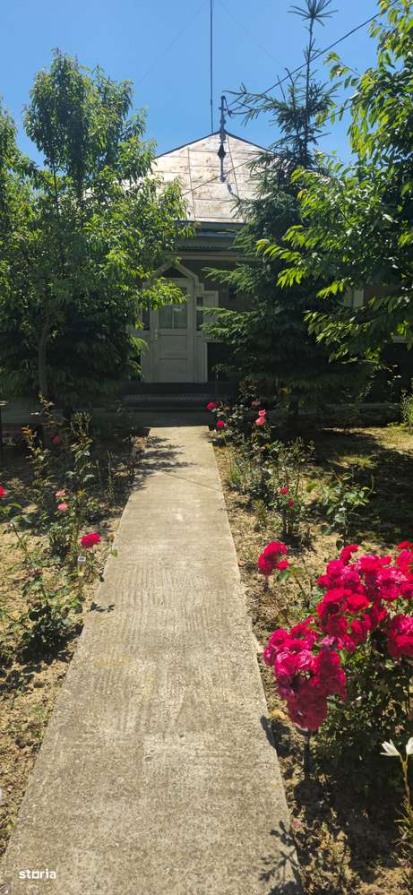 Casa, 1 900 m²,  - Imagine principală: 5/8