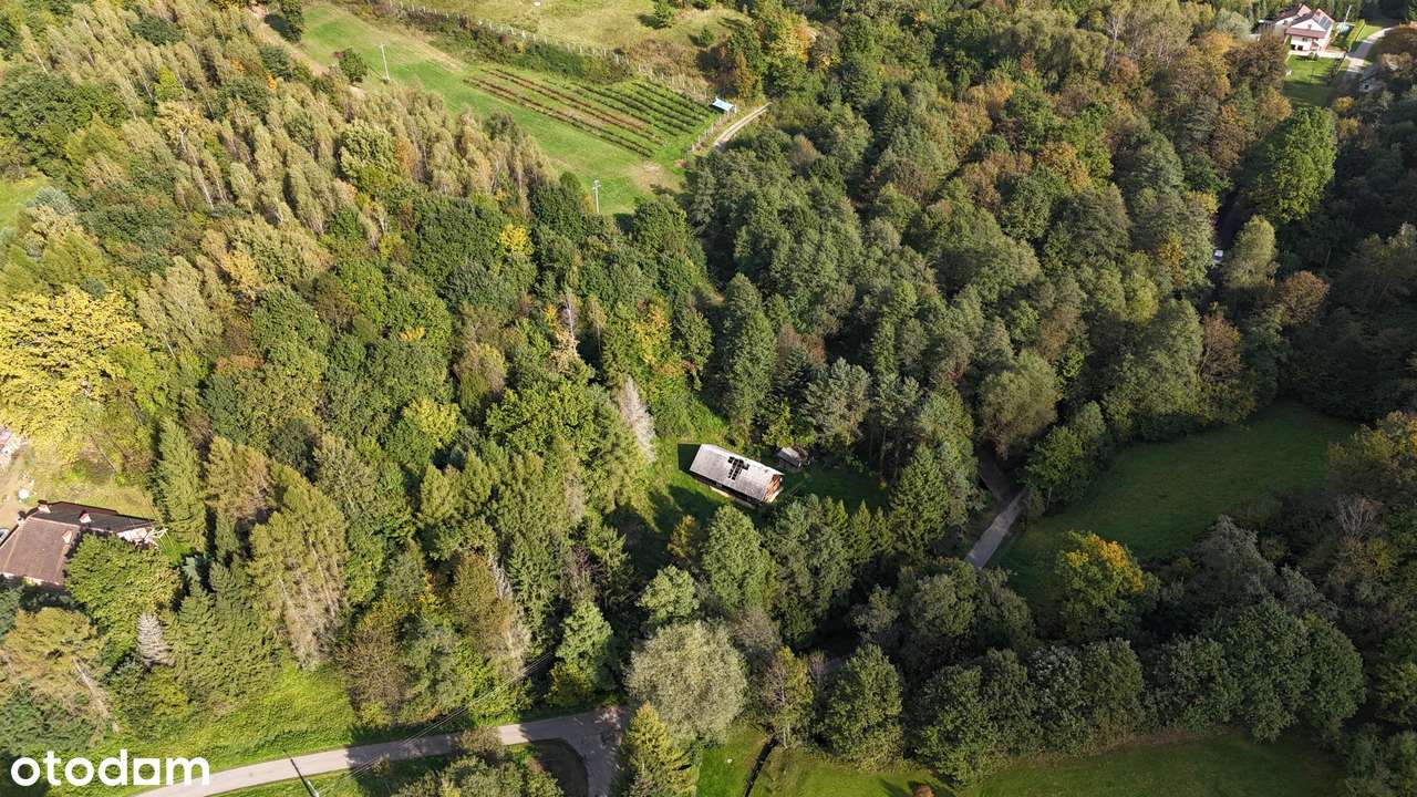 Łączki Jagiellońskie, siedlisko w malowniczym otoczeniu lasu i natury-4