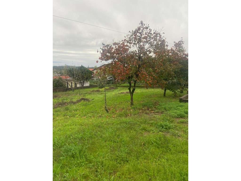 Casa térrea para recuperar na Carapinheira-6