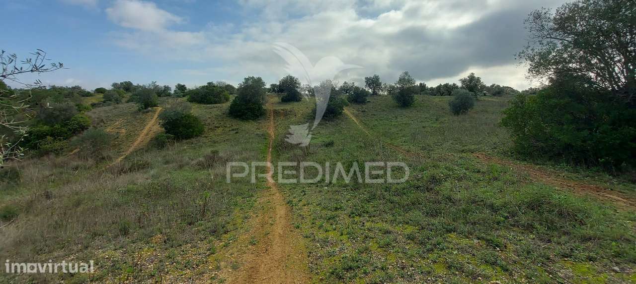 Terreno Rústico com 25.560 m2, conselho de Santarém. - Grande imagem: 4/24