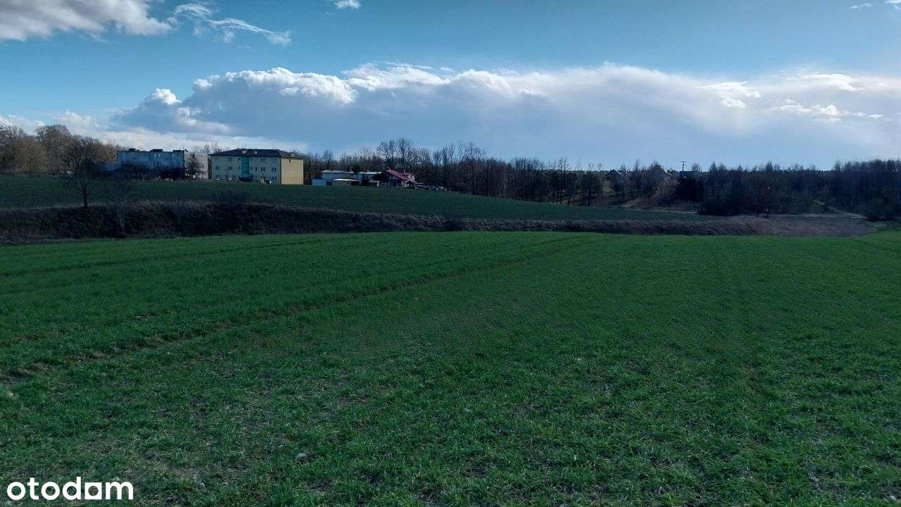 Działka pod inwestycję Mały Klincz - Pełny obrazek: 3/5