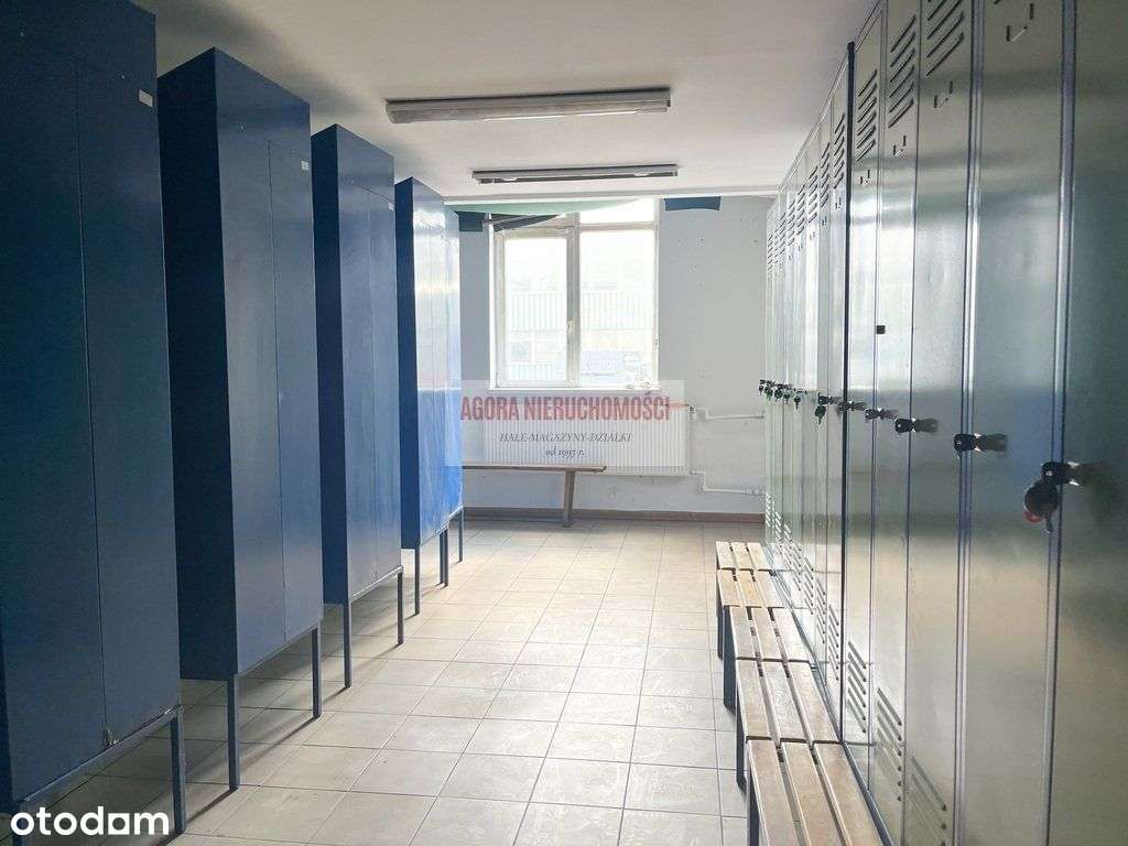 Hala Produkcja Magazyn 750 m2 Czyżyny Tir - Pełny obrazek: 3/4