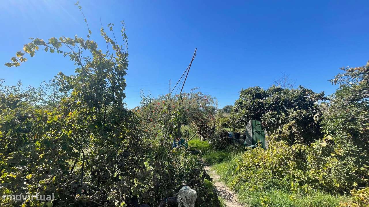 Terreno rústico | Escalos de Cima, Castelo Branco - Grande imagem: 4/20