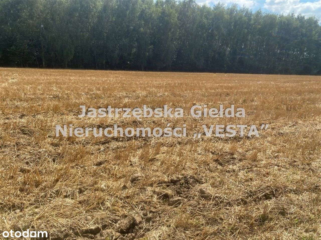 Duża Działka Budowlano-Rolna - Pełny obrazek: 4/5