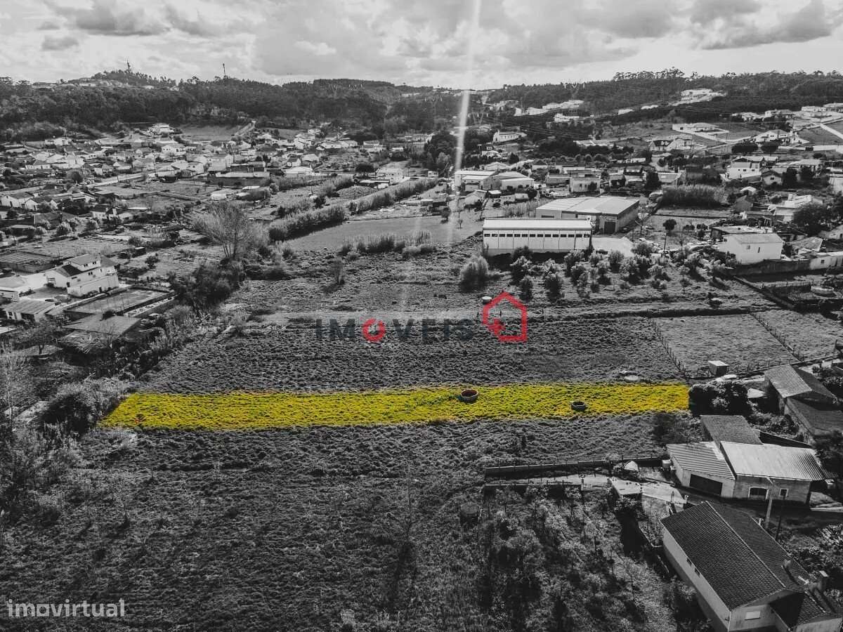 Terreno fértil e soalheiro - a 5 min. de Leiria - Grande imagem: 5/8