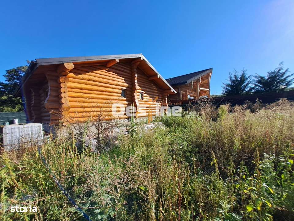 Ciurbesti - Miroslava, Cabana de lemn 117mp, 69.900 euro - Imagine principală: 3/9