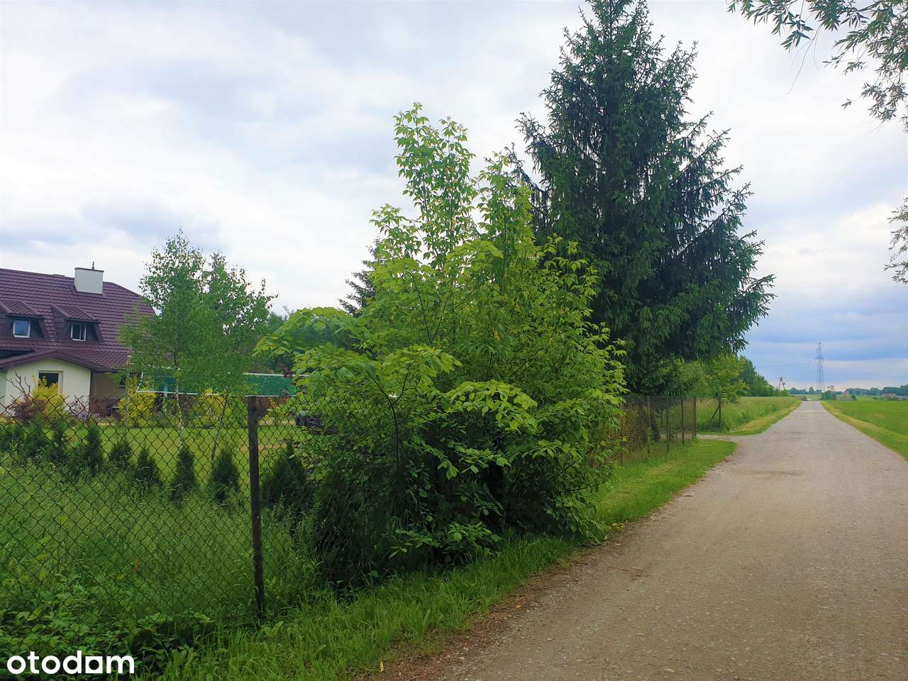 Kilka ładnych działek obok siebie (2 lokalizacje). Blisko Glinianki-3