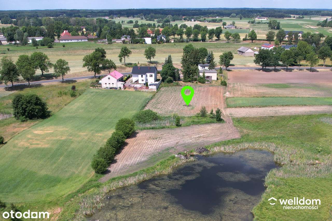 Siedlisko ze stawem, duża działka, budynki gospodarcze, blisko Lipna. - Pełny obrazek: 3/19