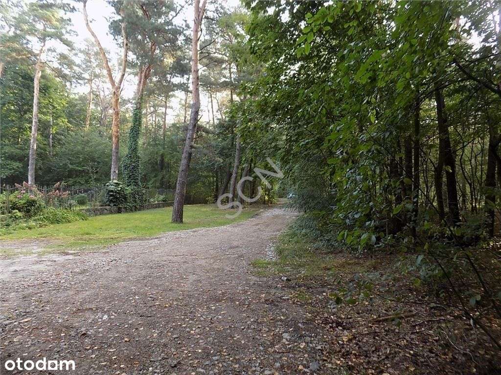 Niezwykłe Miejsce - Oaza ciszy i spokoju-3