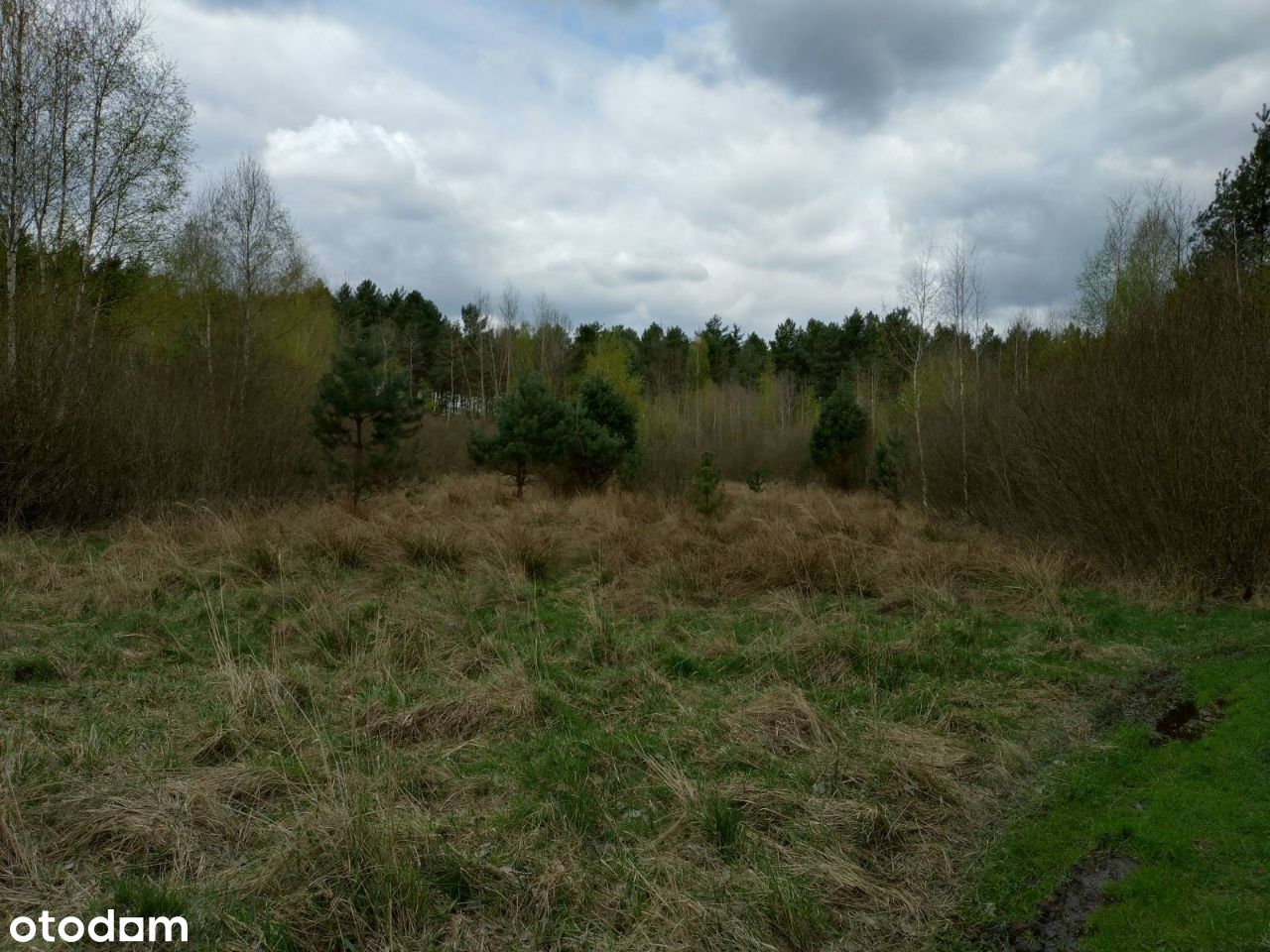 Secemin działka budowlana 2500m2