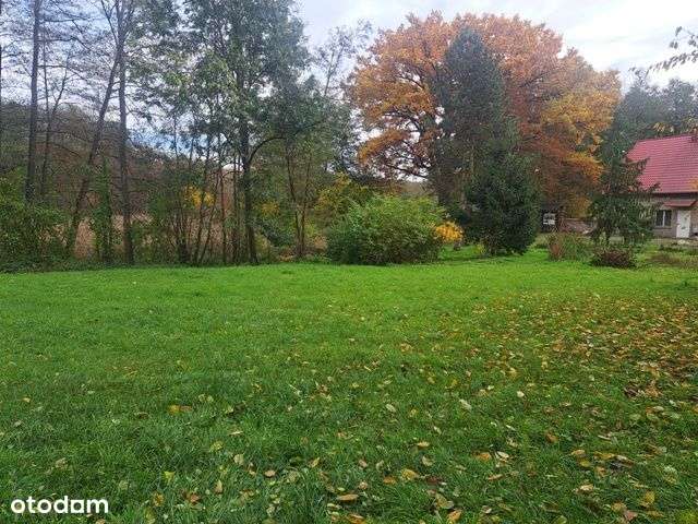 Działki rolne w ok Stęszewa/Tomice/nr 130 i nr 237/ul Szkolna-0