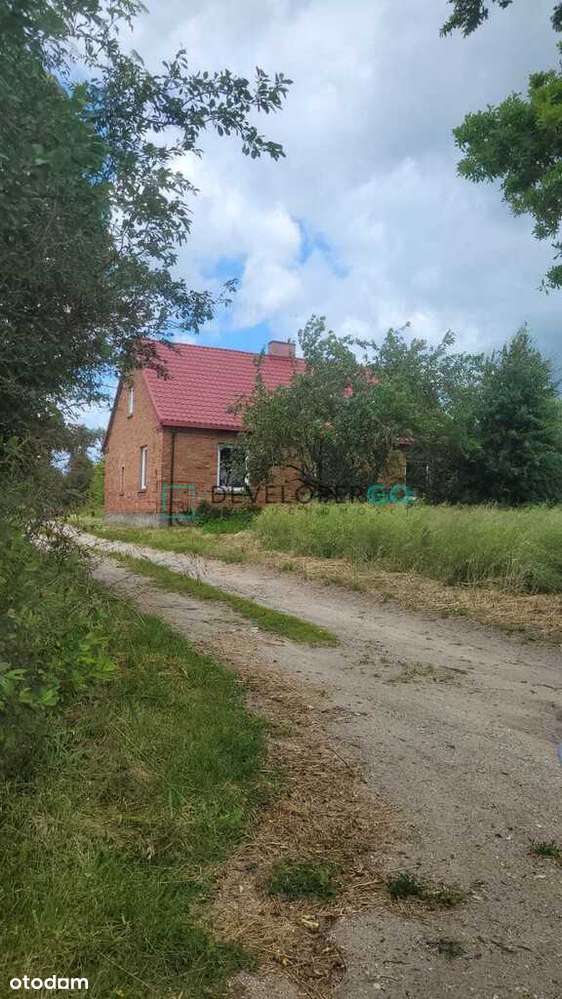 Siedlisko z Potencjałem Gospodarczym w Danowie - Pełny obrazek: 4/9