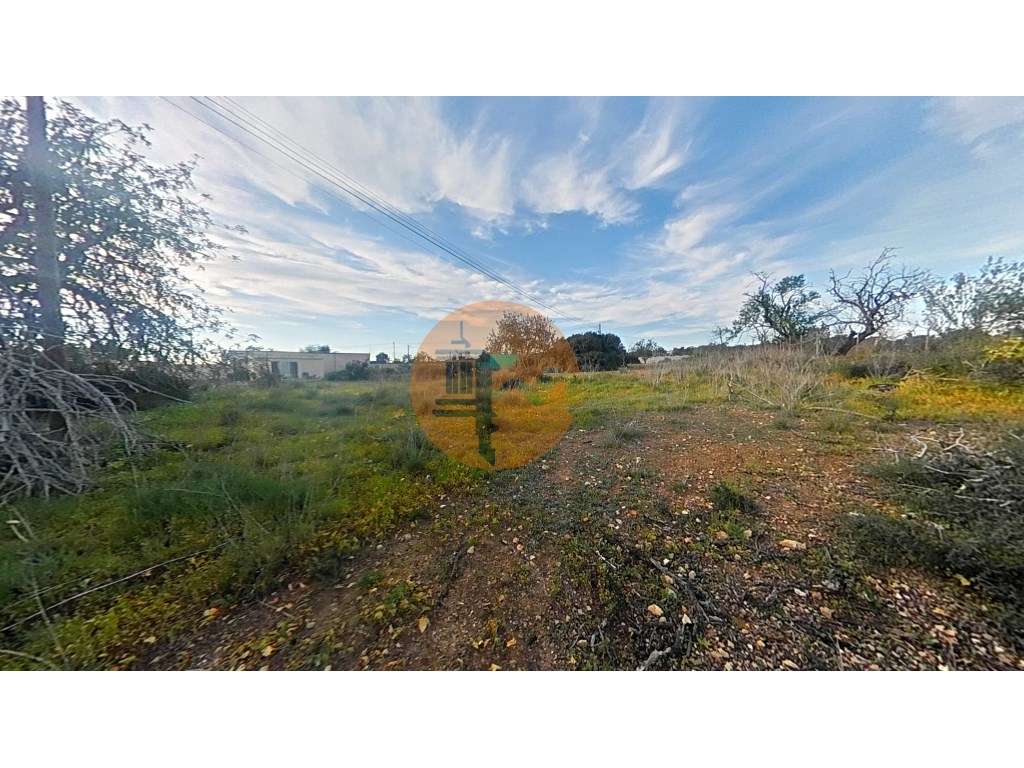 Terreno Rústico - Grande imagem: 4/11