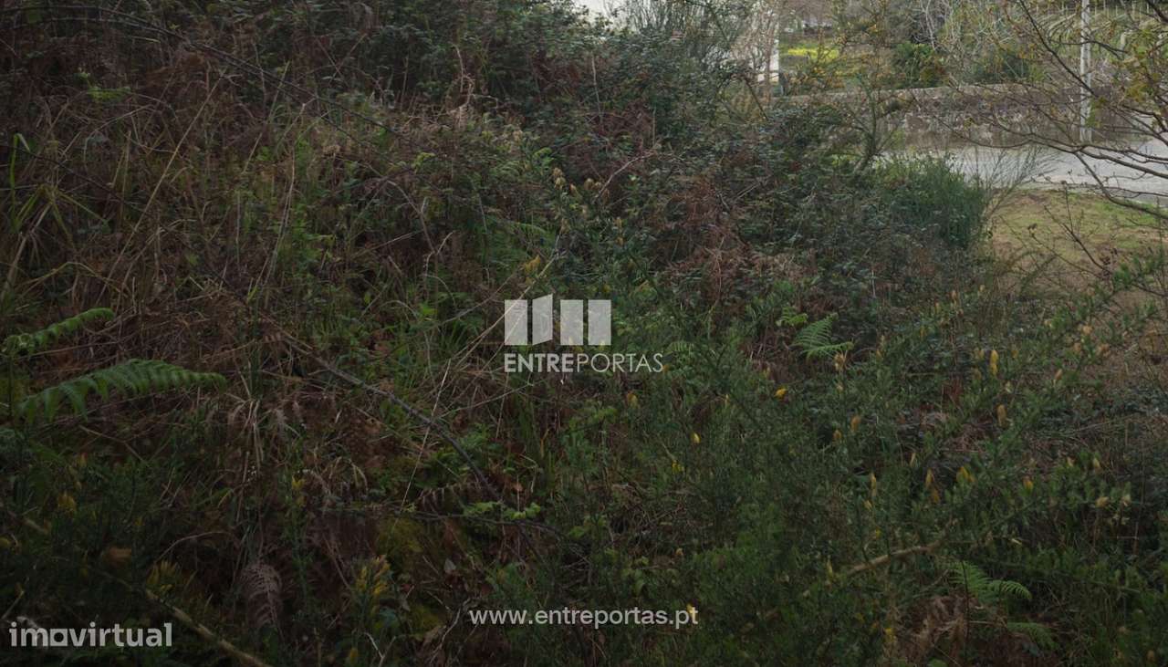 Venda de Terreno para construção, Serreleis, Viana do Castelo - Grande imagem: 2/28