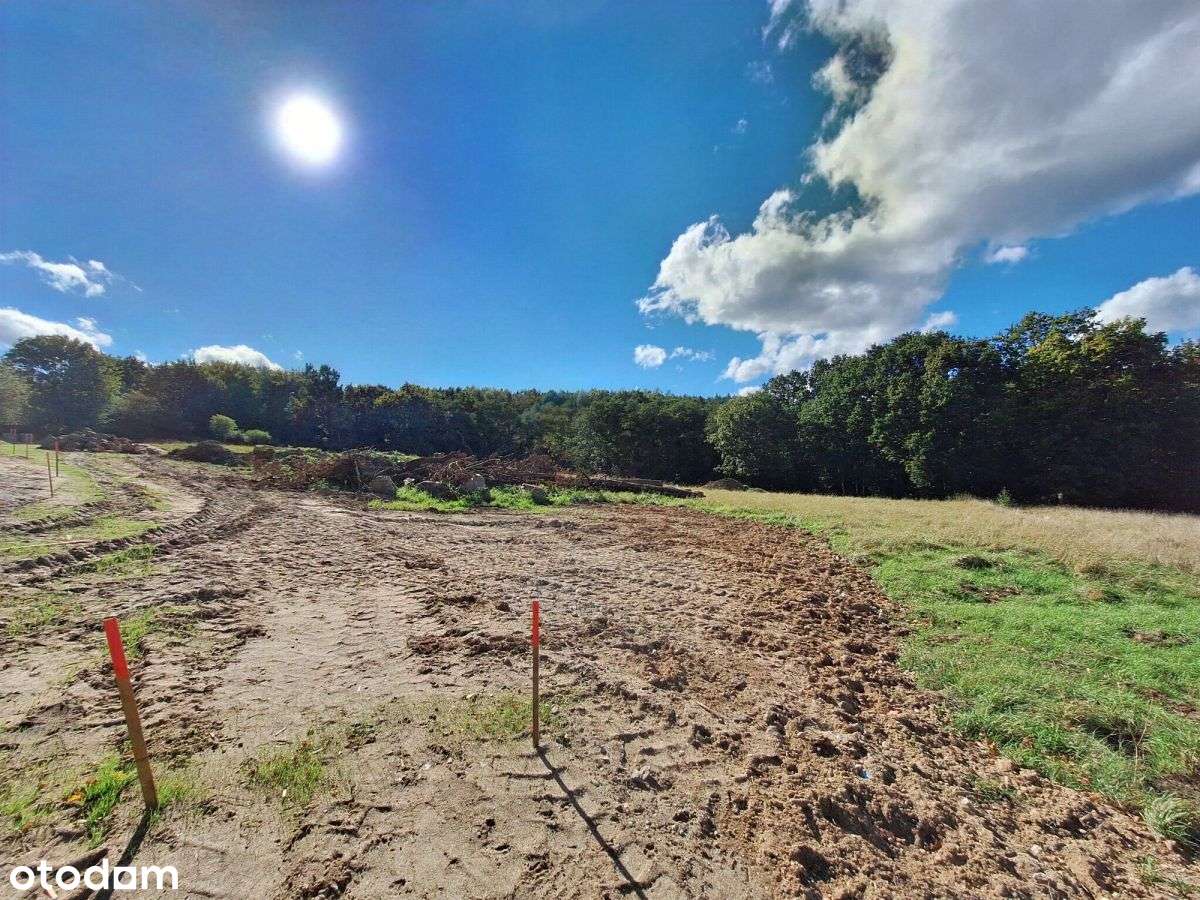 W pełni (a nie tylko w drodze) uzbrojona działka - Pełny obrazek: 5/12