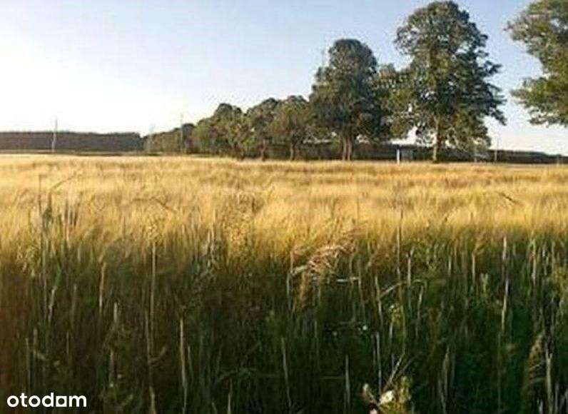 Świdwin . Działka 3100 m2 . Las . Jezioro . Morze.-8