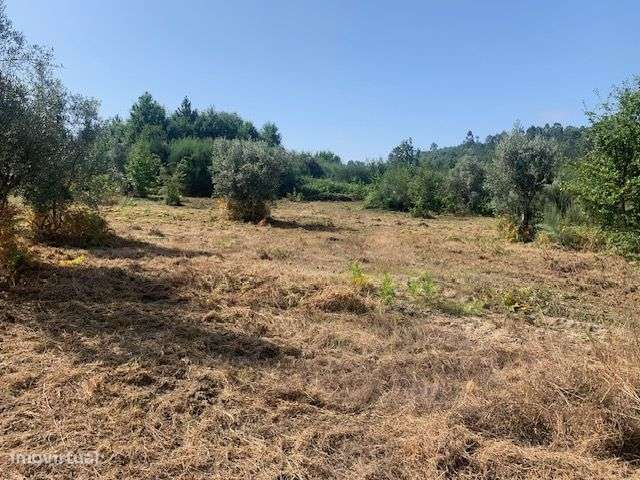 Quinta do Barreiro com 2 Casas para Recuperar-10