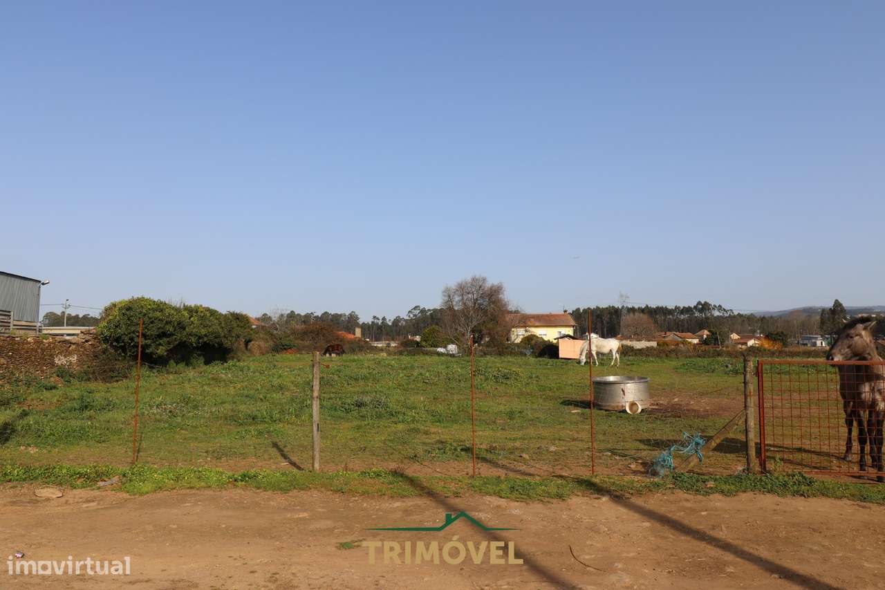Terreno para construção - Loureiro - Grande imagem: 4/10