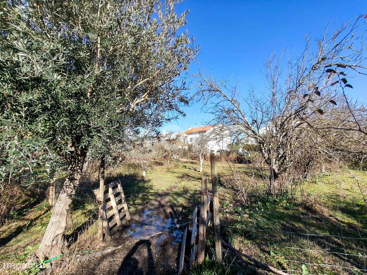 Terreno com 9500 m² – Évora-15