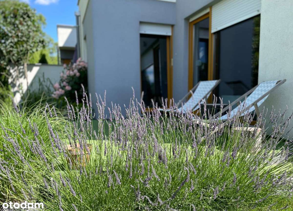 Mieszkanie loft z pięknym ogrodem - Pełny obrazek: 4/14