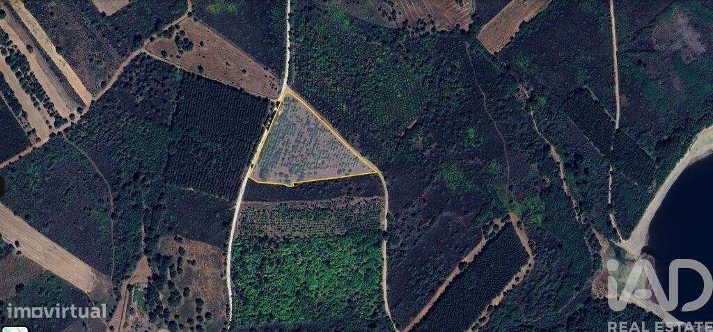 Terreno Agrícola em Sabugal e Aldeia de Santo António - Grande imagem: 2/5