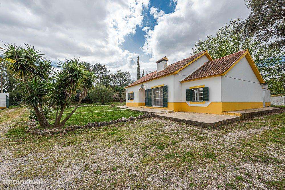 Quinta com moradia T2 em Setúbal - Oportunidade Única! - Grande imagem: 3/60