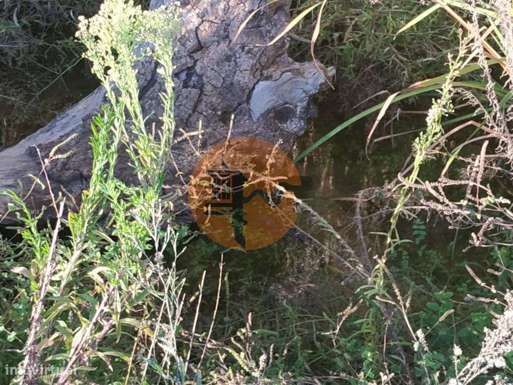 TERRENO COM RUINA - 4.960 M2 - COM NORA - ÁGUA DA BARRAGEM NA JUNQU...-26