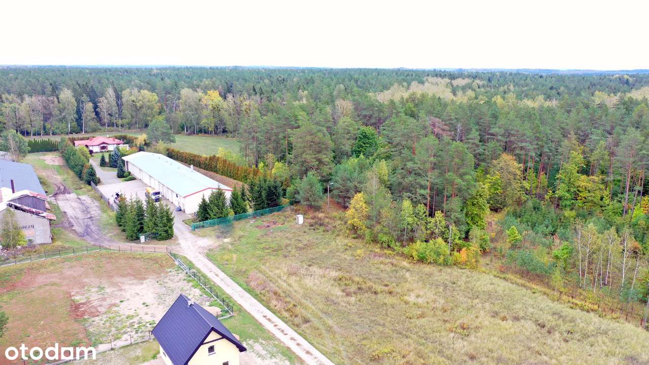 Działka 3000 m2 - Nowe Sołdany - Pełny obrazek: 4/6