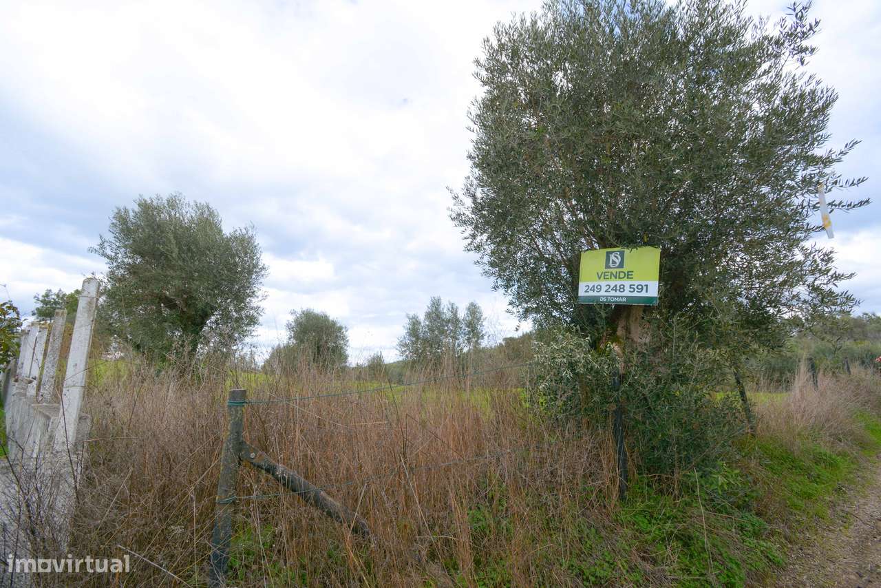 Terreno  Venda em Asseiceira,Tomar-2