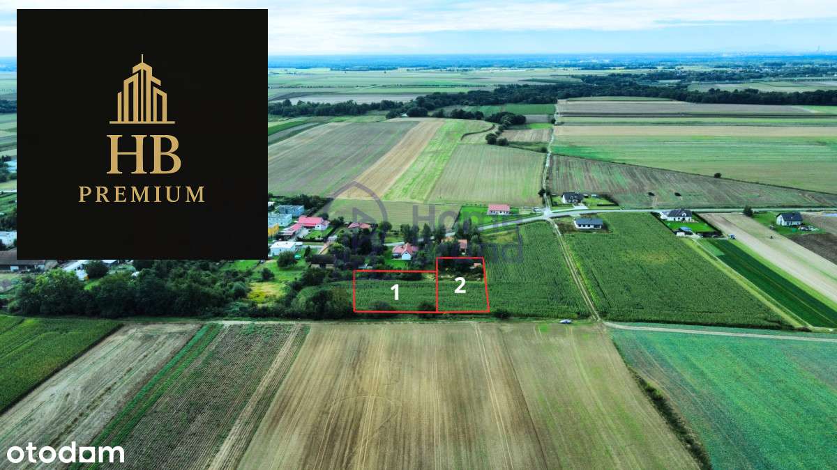 10 minut od Oleśnicy| Prąd na działce| - Pełny obrazek: 4/5