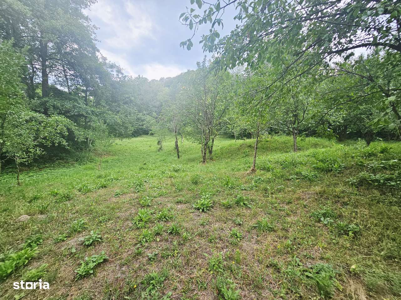 Teren intravilan de vânzare – 2.190 mp – Podu Vadului, Breaza - Imagine principală: 3/16