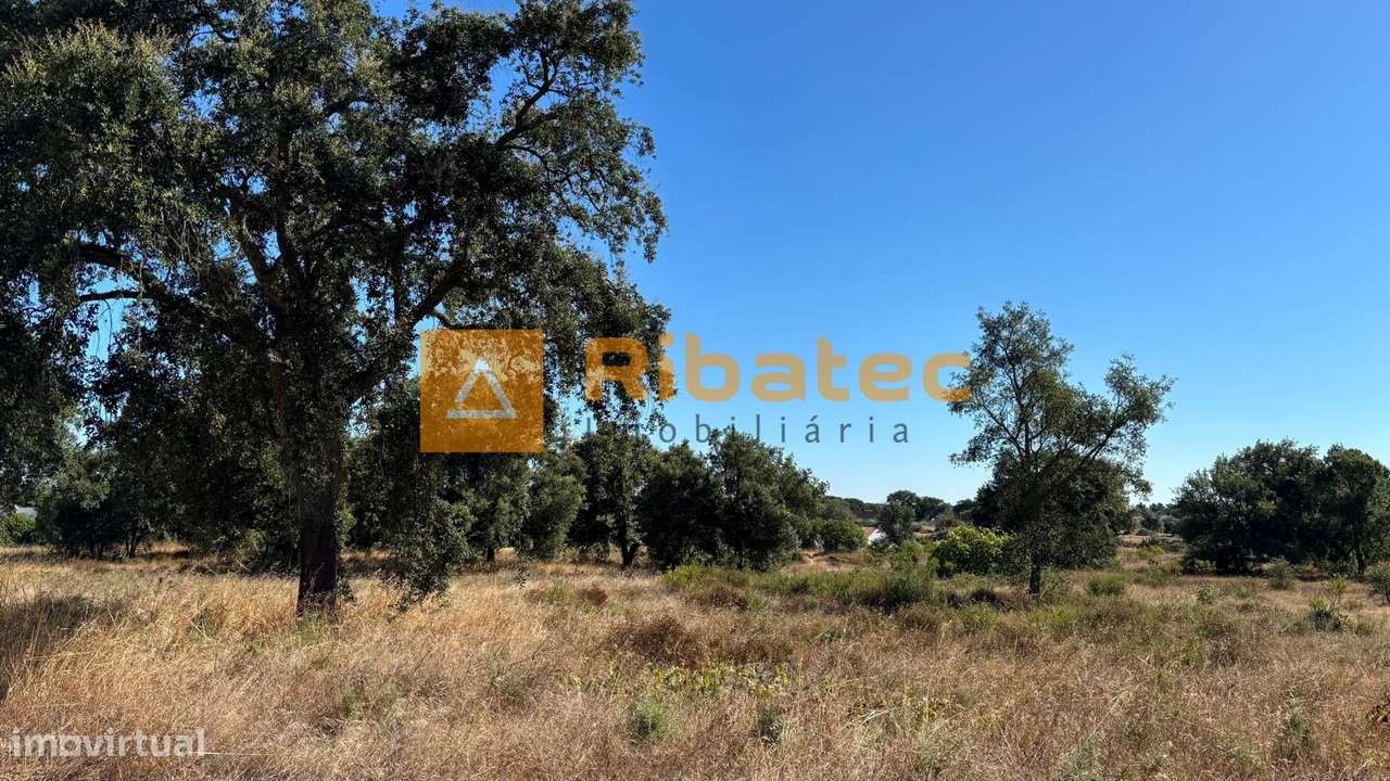 Terreno  Venda em Coruche, Fajarda e Erra,Coruche-6