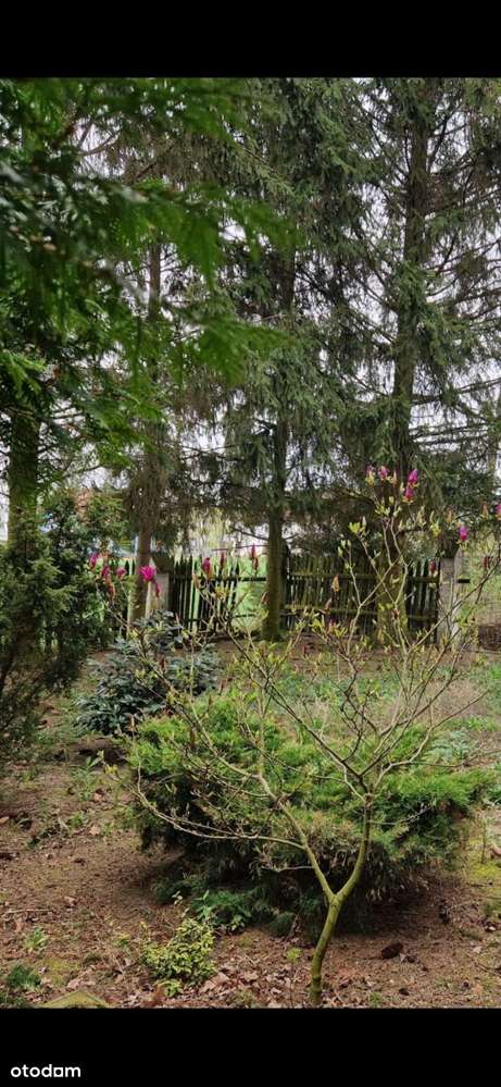 Spokojne miejsce pod agroturystykę-11