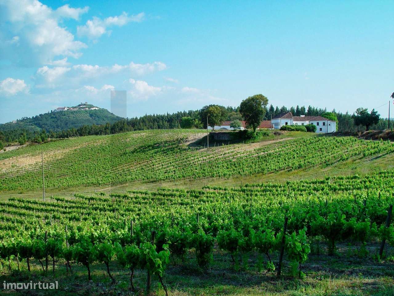 Quinta de Exceção em Ourém – 69 Hectares | Casa Senhorial do Séc. XVII - Grande imagem: 5/60