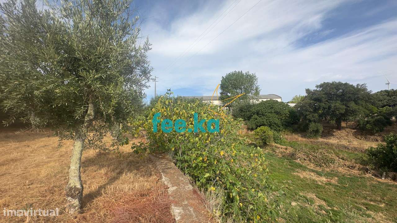 Quintinha-15