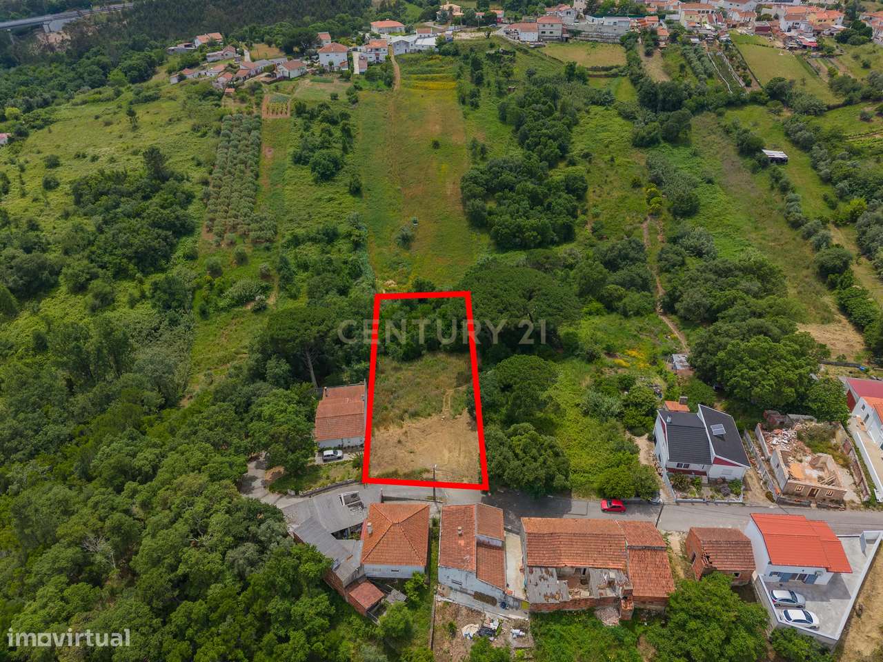 Terreno com 2.705 m² na Boavista, Alcobaça-5