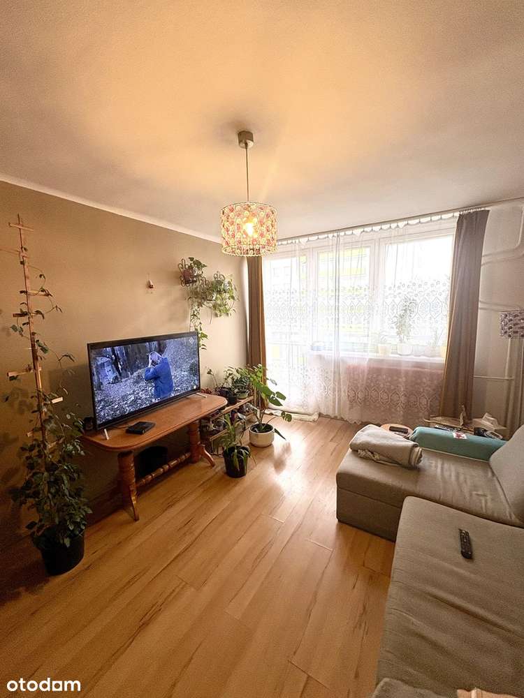 2 pokoje 41m2, balkon, park Sielecki-0